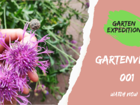 Gartenexpedition-erstesVideo