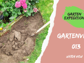 Gartenteich